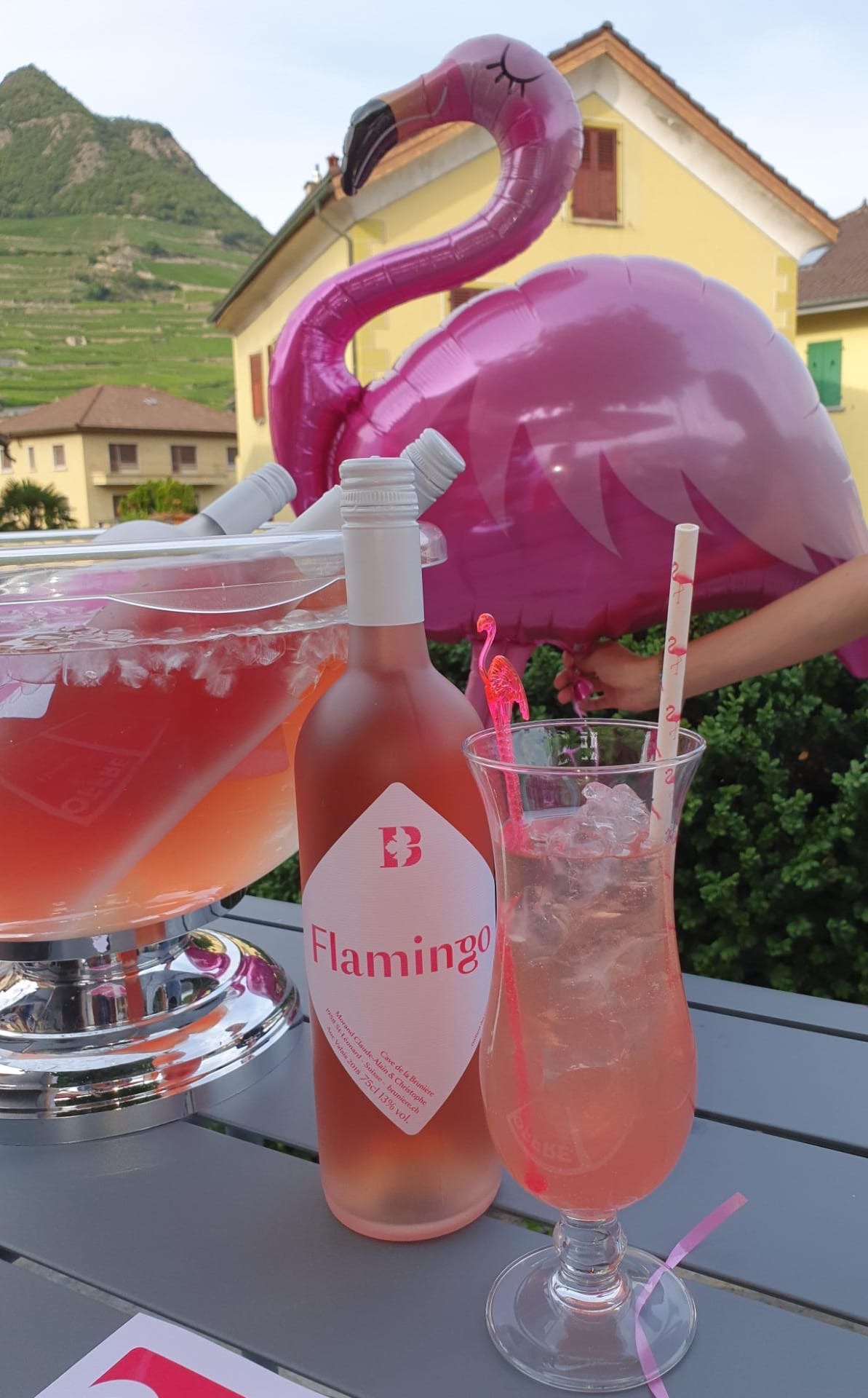 Flamingo Tour 2020 Bambino